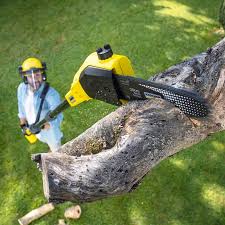 Best Pest Control for Lawns  in Germantown Hls, IL